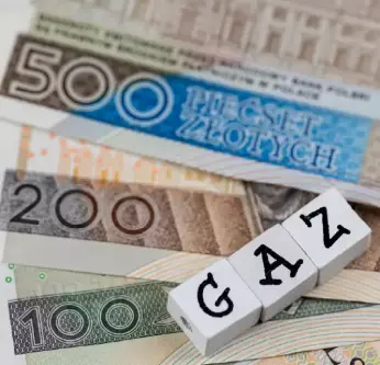 PGNiG czy Fortum? Zalety i wady sprzedawców