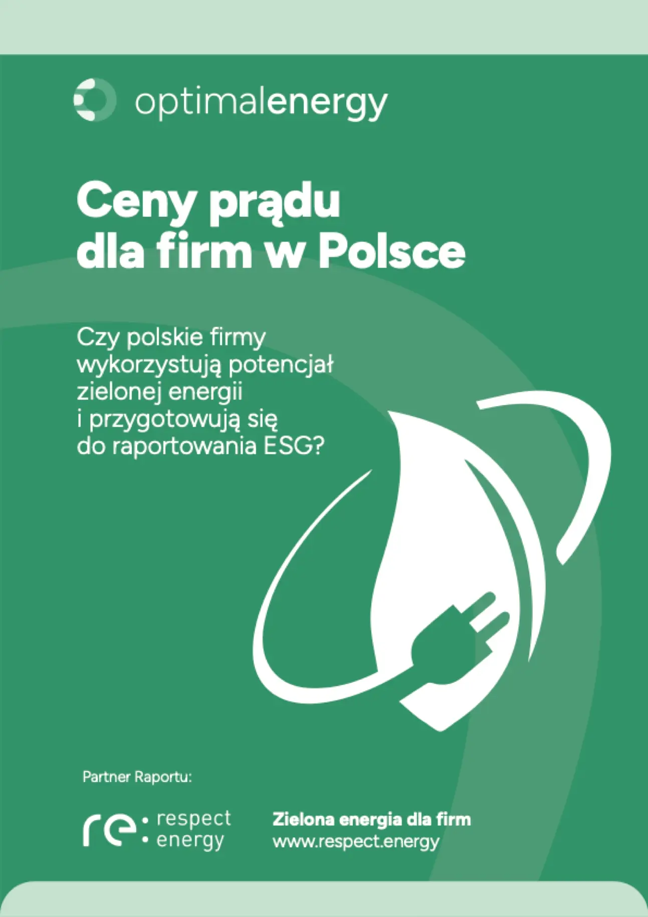 ceny prądu dla firm w Polsce raport