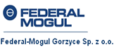 Federal Mogul Federal Mogul