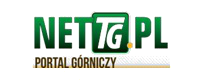 nettG logo